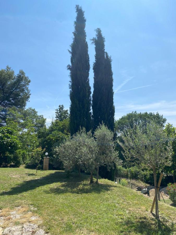 Les Oliviers Villa Vaugines Екстериор снимка